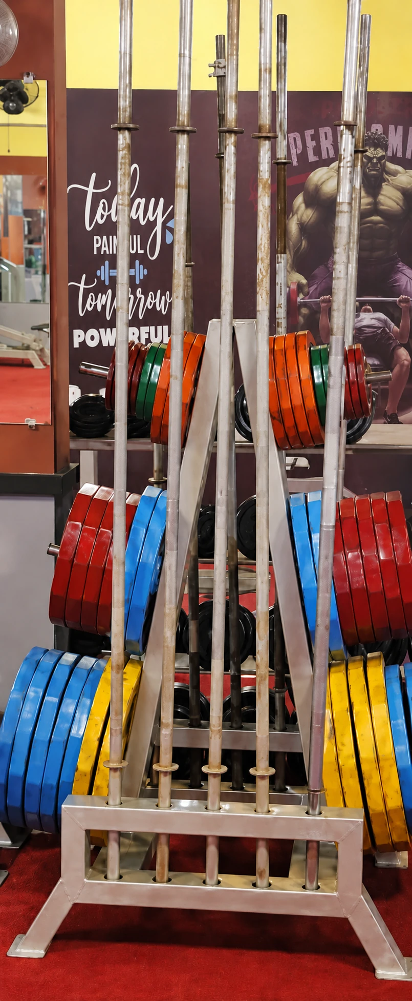 A complete view of New Gold Gym’s upright rack of barbells and coloured weight plates.